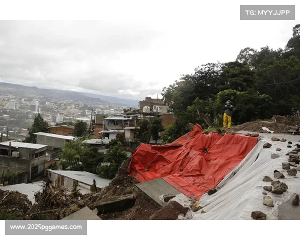 大联盟拉丁美洲培训基地遭飓风重创重建工程正式启动 大联盟拉丁美洲培训基地遭飓风重创重建工程正式启动